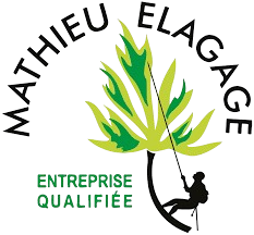 Mathieu Elagage